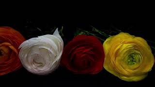 BBD5627A-0803-46D2-9588-19E697D61D43