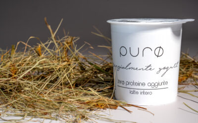 PurØ Yogurt