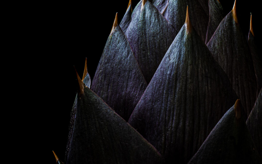 Viola il colore dei RE