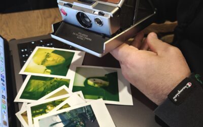 La necessità della verità, una Polaroid SX-70 per ritrovare il senso dell’immagine