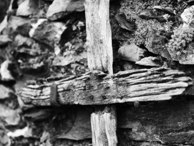 Un simbolo dominante...resistente