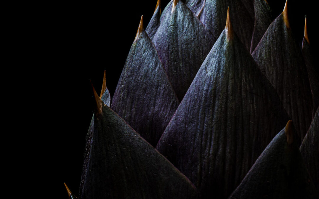violetto